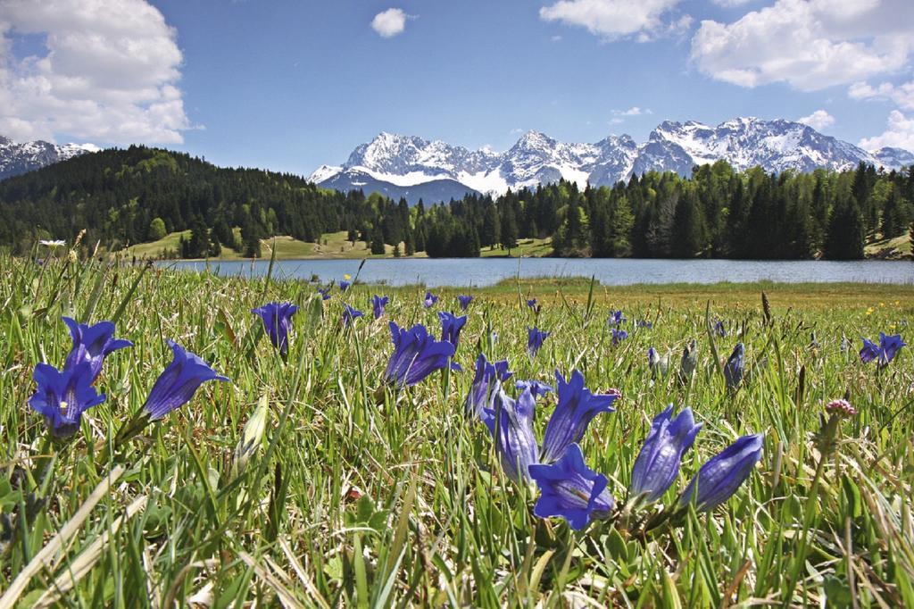 Apartament Beim Gschdoaga Mittenwald Zewnętrze zdjęcie